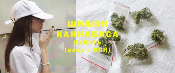 индика Нефтекумск
