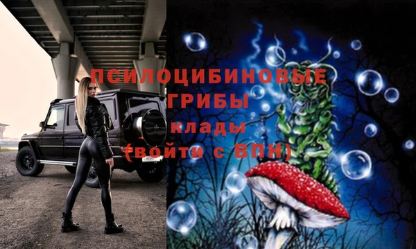 прущие грибы Алексин